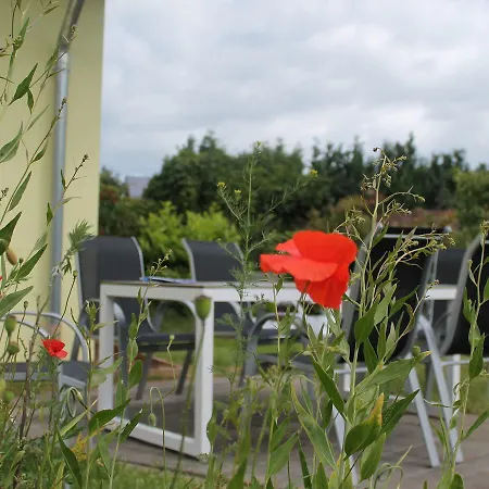 Luxurious Holiday In Mecklenburg With Garden *